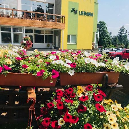 Hotel Lesana Stará Lesná Eksteriør bilde
